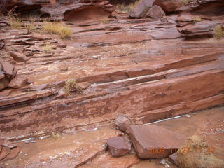 243 6pt. Canyonlands National Park - Lathrop trail hike