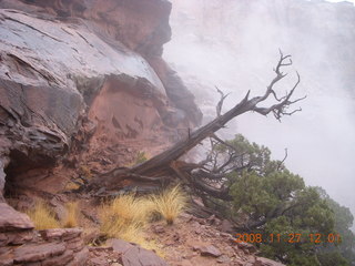 260 6pt. Canyonlands National Park - Lathrop trail hike