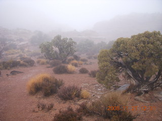 274 6pt. Canyonlands National Park - Lathrop trail hike