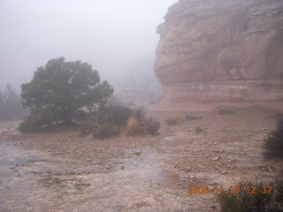 282 6pt. Canyonlands National Park - Lathrop trail hike