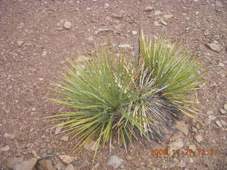 283 6pt. Canyonlands National Park - Lathrop trail hike