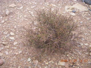 284 6pt. Canyonlands National Park - Lathrop trail hike