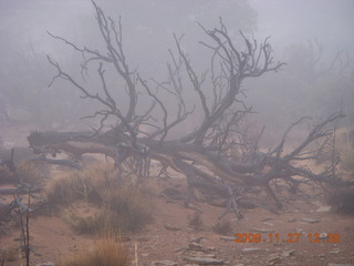 286 6pt. Canyonlands National Park - Lathrop trail hike
