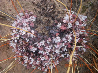 306 6pt. Canyonlands National Park - Lathrop trail hike
