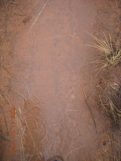 313 6pt. Canyonlands National Park - Lathrop trail hike - wet path through grassland