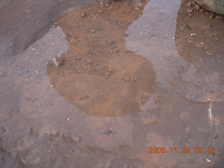 44 6pu. Arches National Park - Balanced Rock reflection
