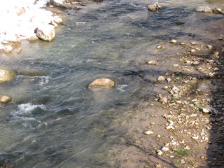 53 6qg. beth's Saturday zion-trip pictures - Zion National Park