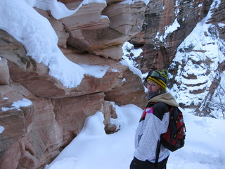 93 6qg. beth's Saturday zion-trip pictures - Zion National Park - Angels Landing hike - Debbie