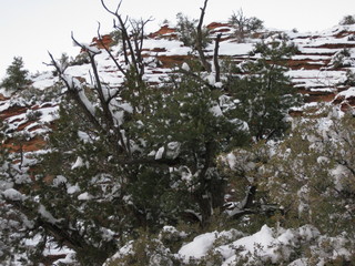 137 6qg. beth's Saturday zion-trip pictures - Zion National Park