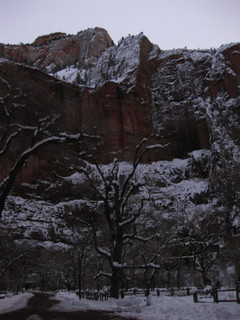 3 6qh. beth's Sunday zion-trip pictures - Zion National Park - pre-dawn riverwalk