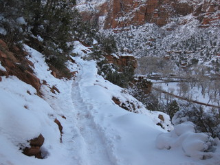 42 6qh. beth's Sunday zion-trip pictures - Zion National Park - Emerald Ponds hike