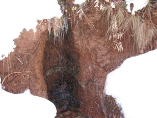 55 6qh. beth's Sunday zion-trip pictures - Zion National Park - Emerald Ponds hike