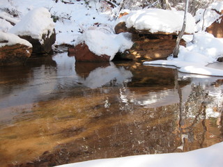 59 6qh. beth's Sunday zion-trip pictures - Zion National Park - Emerald Ponds hike