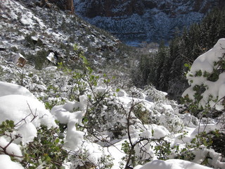 63 6qh. beth's Sunday zion-trip pictures - Zion National Park - Emerald Ponds hike