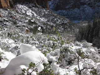 65 6qh. beth's Sunday zion-trip pictures - Zion National Park - Emerald Ponds hike