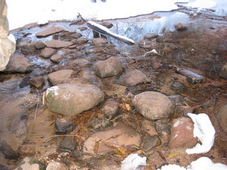 76 6qh. beth's Sunday zion-trip pictures - Zion National Park - Emerald Ponds hike