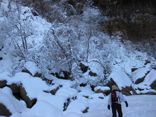 78 6qh. beth's Sunday zion-trip pictures - Zion National Park - Emerald Ponds hike - Debbie