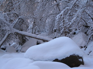 86 6qh. beth's Sunday zion-trip pictures - Zion National Park - Emerald Ponds hike