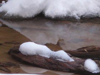 87 6qh. beth's Sunday zion-trip pictures - Zion National Park - Emerald Ponds hike