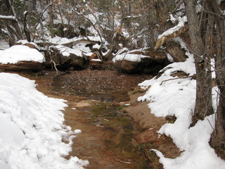 92 6qh. beth's Sunday zion-trip pictures - Zion National Park - Emerald Ponds hike