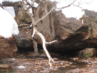 93 6qh. beth's Sunday zion-trip pictures - Zion National Park - Emerald Ponds hike