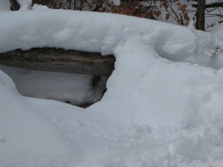 94 6qh. beth's Sunday zion-trip pictures - Zion National Park - Emerald Ponds hike