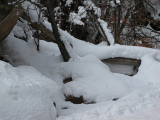 95 6qh. beth's Sunday zion-trip pictures - Zion National Park - Emerald Ponds hike