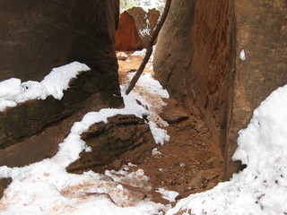 96 6qh. beth's Sunday zion-trip pictures - Zion National Park - Emerald Ponds hike