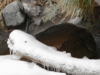 102 6qh. beth's Sunday zion-trip pictures - Zion National Park - Emerald Ponds hike