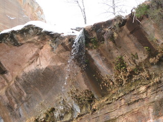 104 6qh. beth's Sunday zion-trip pictures - Zion National Park - Emerald Ponds hike