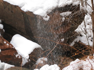 105 6qh. beth's Sunday zion-trip pictures - Zion National Park - Emerald Ponds hike