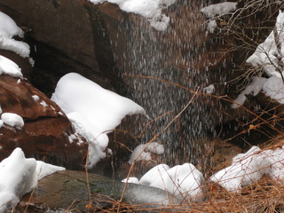 106 6qh. beth's Sunday zion-trip pictures - Zion National Park - Emerald Ponds hike
