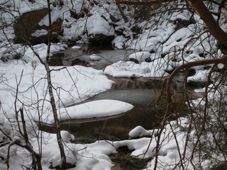 109 6qh. beth's Sunday zion-trip pictures - Zion National Park - Emerald Ponds hike