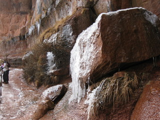 113 6qh. beth's Sunday zion-trip pictures - Zion National Park - Emerald Ponds hike