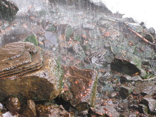 117 6qh. beth's Sunday zion-trip pictures - Zion National Park - Emerald Ponds hike