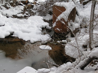 121 6qh. beth's Sunday zion-trip pictures - Zion National Park - Emerald Ponds hike