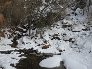 122 6qh. beth's Sunday zion-trip pictures - Zion National Park - Emerald Ponds hike