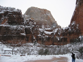 31 6qk. debbie's Zion-trip pictures