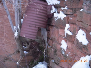 50 6ql. Zion National Park - Angels Landing hike - drain at Walter's Wiggles