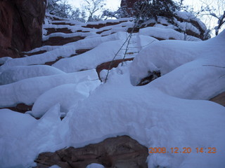 51 6ql. Zion National Park - Angels Landing hike - Walter's Wiggles