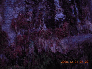 12 6qm. Zion National Park - twig-cicles and icicles