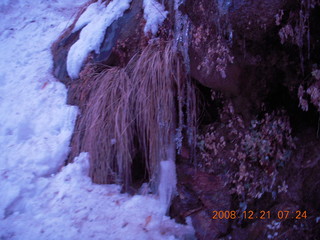 18 6qm. Zion National Park - pre-dawn