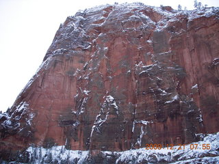 49 6qm. Zion National Park