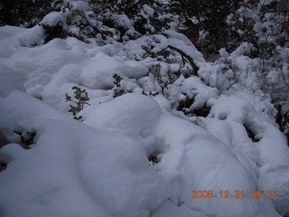 64 6qm. Zion National Park - Emerald Pools hike