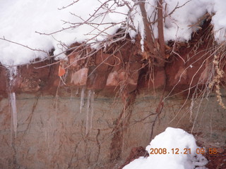 79 6qm. Zion National Park - Emerald Pools hike - icicles