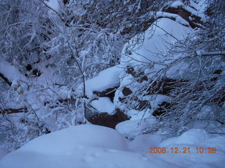 100 6qm. Zion National Park - Emerald Pools hike