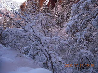 101 6qm. Zion National Park - Emerald Pools hike