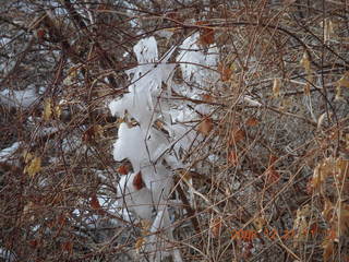 142 6qm. Zion National Park - Emerald Pools hike - icicles