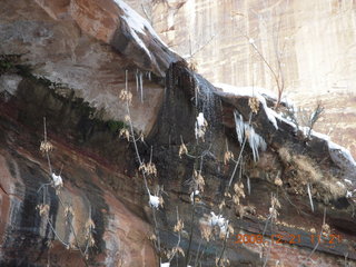 174 6qm. Zion National Park - Emerald Pools hike