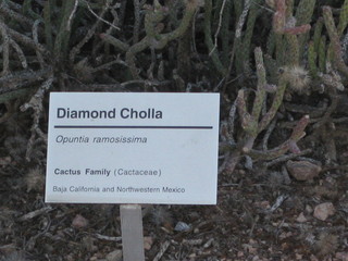 beth's Dale Chihuly pictures - Michael and Dita